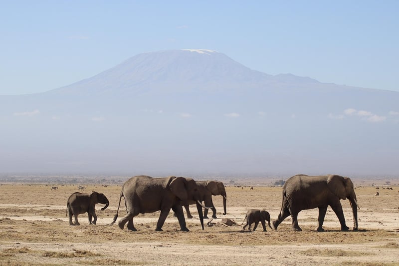 Kilimanjaro, Tanzania
